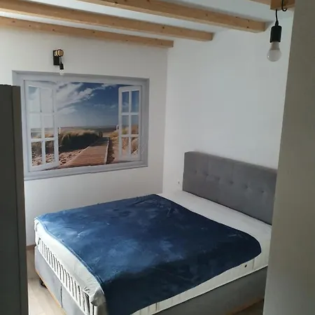 Orhidea